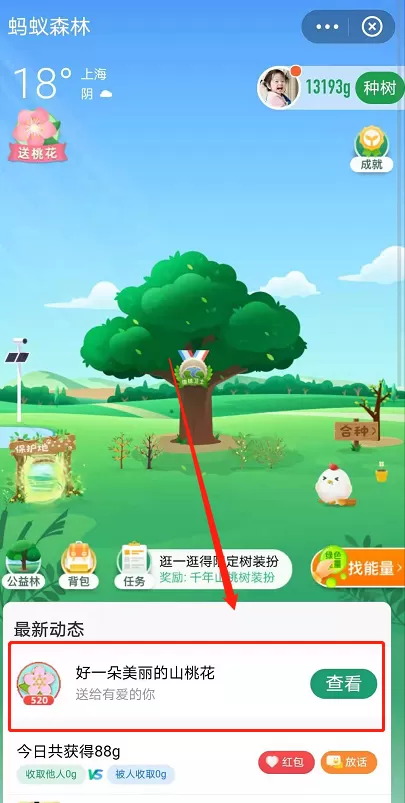 蚂蚁森林树洞在哪?支付宝蚂蚁森林520表白树洞玩法