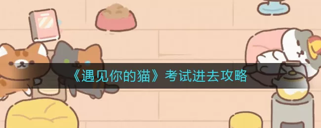 遇见你的猫考试怎么进去?遇见你的猫考试进入方法介绍