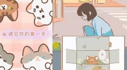 遇见你的猫考试怎么进去?遇见你的猫考试进入方法介绍