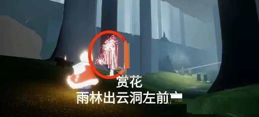 光遇4月9日每日任务怎么做?光遇4月9日每日任务完成攻略