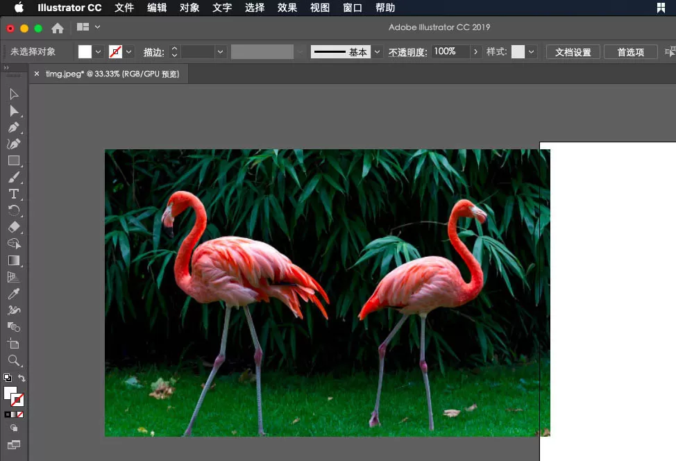 ai绘制火烈鸟的操作方法