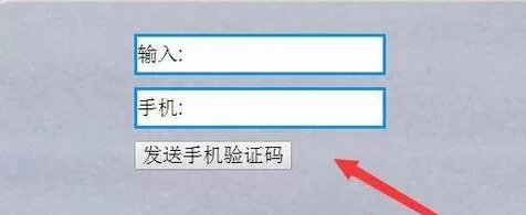 Visual Studio网页实现按钮获取手机验证码的操作方法