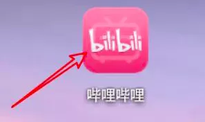 哔哩哔哩如何隐藏投过硬币视频 哔哩哔哩隐藏投过硬币的视频方法