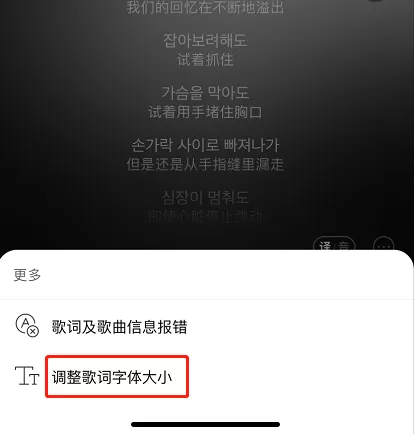 网易云音乐歌词字体大小怎么调整 网易云音乐更改歌词字体大小步骤介绍