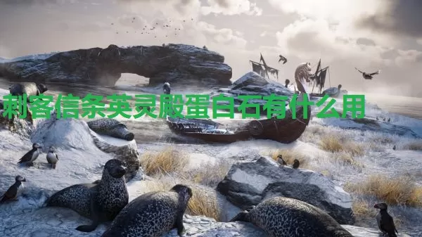 刺客信条英灵殿蛋白石有什么用 英灵殿蛋白石作用介绍