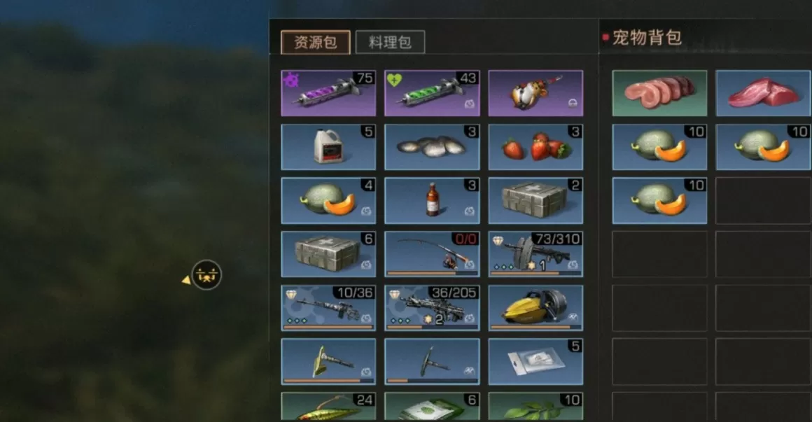 明日之后哈密瓜在哪里?明日之后第三季哈密瓜刷新位置与食谱配方一览