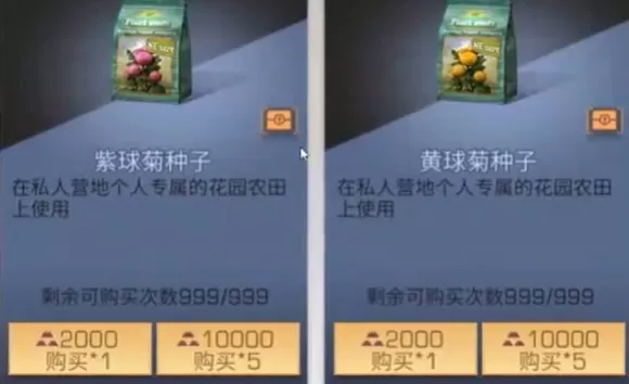 明日之后紫球菊种子怎么得?明日之后紫球菊种子获取与作用解析