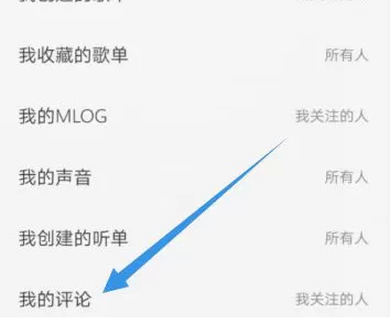 网易云音乐我的评论如何不让陌生人看 网易云音乐评论仅关注人可见方法