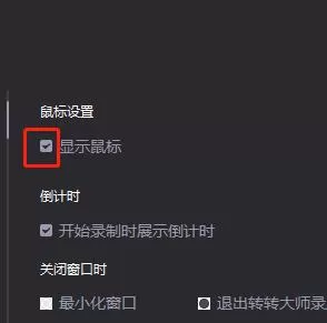 转转大师设置显示鼠标的操作方法