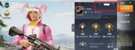 和平精英id在哪里看 和平精英id查看方法介绍