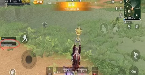 和平精英吃瓜大作战夏日宝箱奖励一览