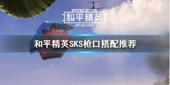 和平精英SKS用什么枪口好 和平精英SKS枪口搭配推荐