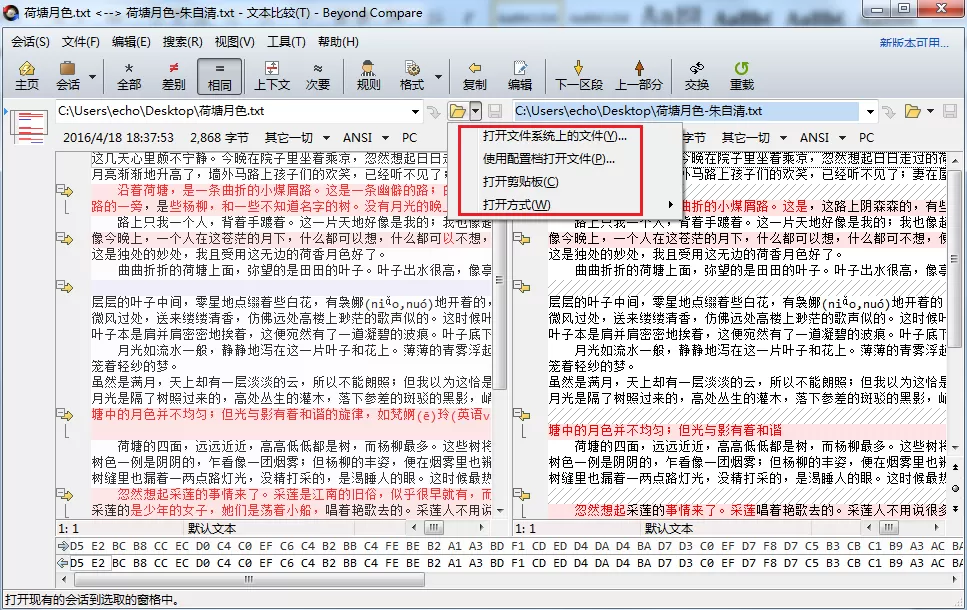 Beyond Compare基础术语的操作步骤