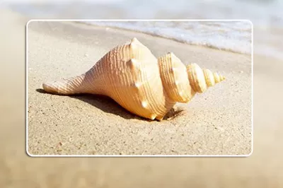 Photoshop制作照片拼贴效果的操作方法