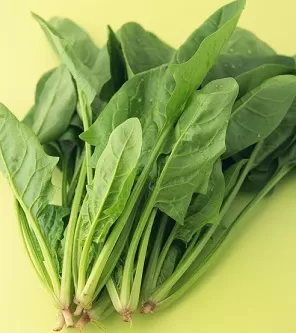 宋朝人吃火锅时可以吃到哪些蔬菜 宋朝人吃火锅可以吃到菠菜吗蚂蚁庄园