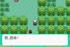 《口袋妖怪雪之白4.0》一周目详解