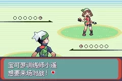 《口袋妖怪雪之白4.0》一周目详解