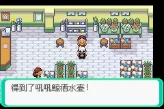 《口袋妖怪雪之白4.0》一周目详解
