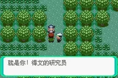 《口袋妖怪雪之白4.0》一周目详解