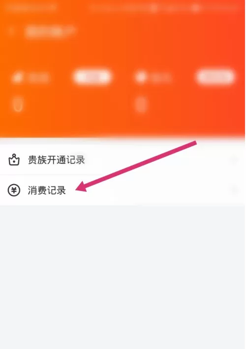 斗鱼消费记录怎么看 斗鱼查询消费记录方法