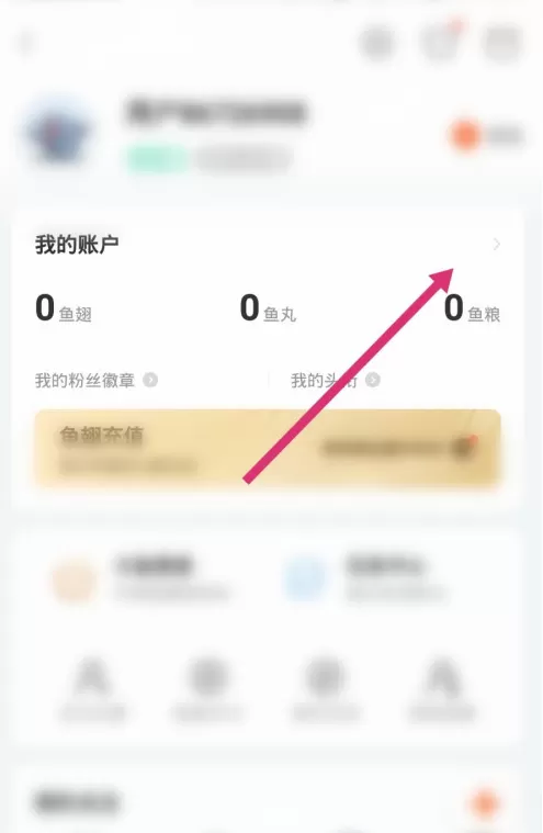 斗鱼消费记录怎么看 斗鱼查询消费记录方法