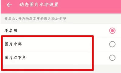 哔哩哔哩动态图片水印功能怎么设置 哔哩哔哩启用动态图片水印方法