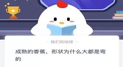 成熟的香蕉形状为什么大都是弯的?蚂蚁庄园今日课堂答题答案