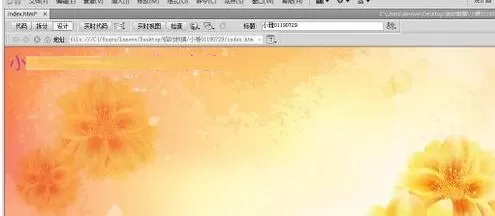 Dreamweaver输入多个空格的操作方法