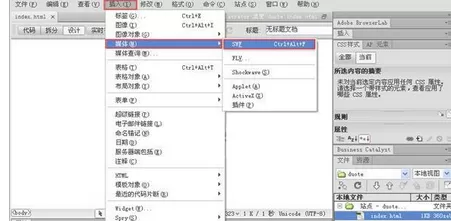 Dreamweaver插入flash动画的详细方法
