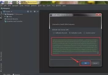 intellij idea进行激活的操作方法