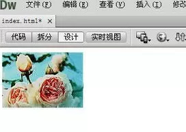 Dreamweaver进行图片编辑的操作步骤