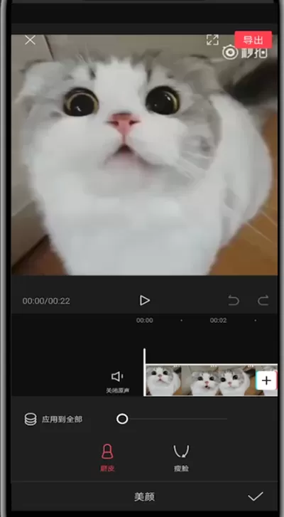 剪映打开美颜的简单方法教程