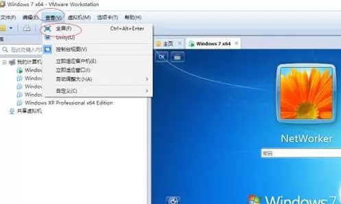 VMware设置窗口大小的操作步骤