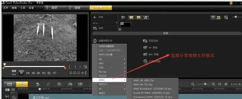 会声会影X9制作反转视频的操作方法