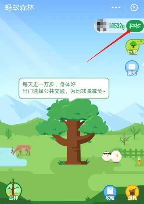 支付宝中获取蚂蚁森林首页小鹿的详细步骤