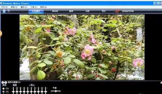 Windows Media Player导入多个视频的相关操作教程