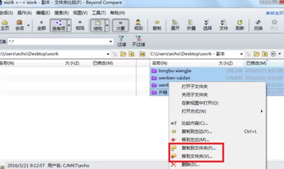 Beyond Compare导出孤立文件的相关使用方法