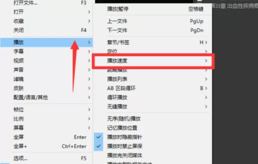 PotPlayer调整播放速度的具体使用流程