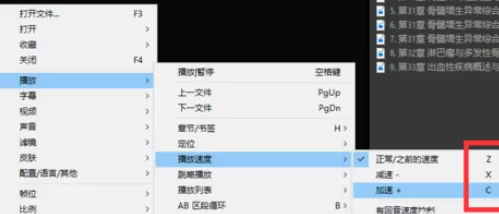 PotPlayer调整播放速度的具体使用流程