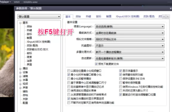 PotPlayer设置最前端的操作教程