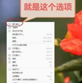 2345看图王制作特效图片的操作教程