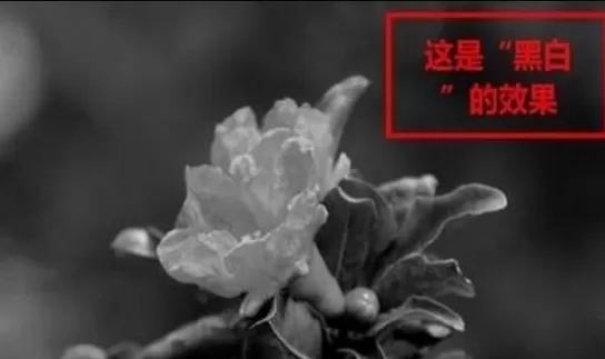 2345看图王制作特效图片的操作教程