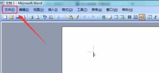 Microsoft Office 2003打印当前页的方法步骤