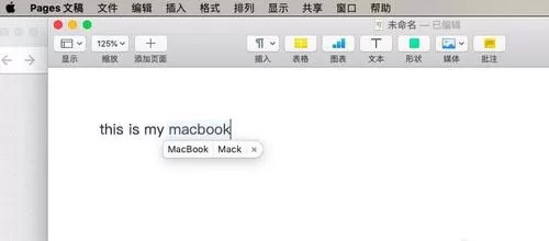 pages打开检查拼写功能的方法步骤