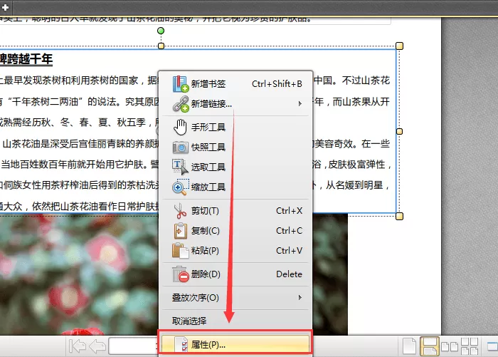 迅捷pdf编辑器给文字加粗的操作方法