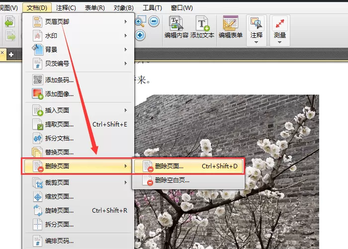 迅捷pdf编辑器删除与替换页面的具体步骤