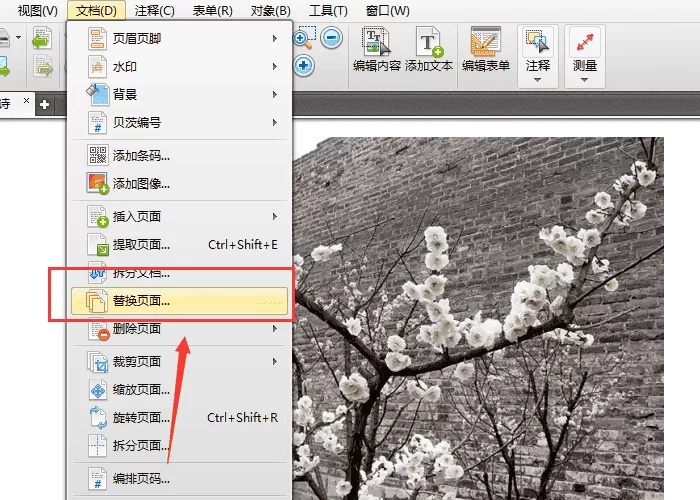 迅捷pdf编辑器删除与替换页面的具体步骤