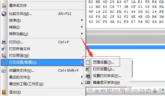 UltraEdit中页面添加页眉的详细操作步骤