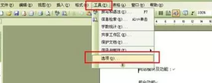 word2003文档设置密码保护的操作方法