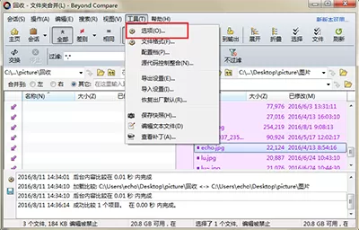 Beyond Compare日志面板添加背景色的操作流程
